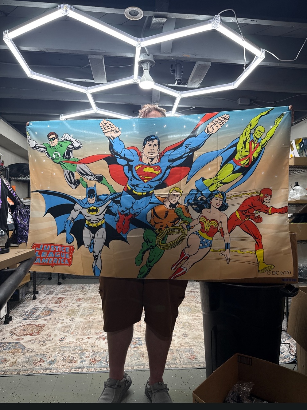 DC Comics Justice League Wall Banner - Multicolor